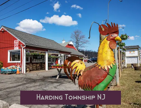 Harding Township taxi NJ